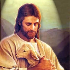 Meet your Posher, Divya